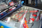 Sinsheim - Germania CAR+SOUND 2006