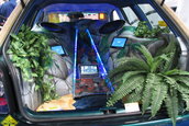 Sinsheim - Germania CAR+SOUND 2006