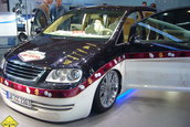 Sinsheim - Germania CAR+SOUND 2006