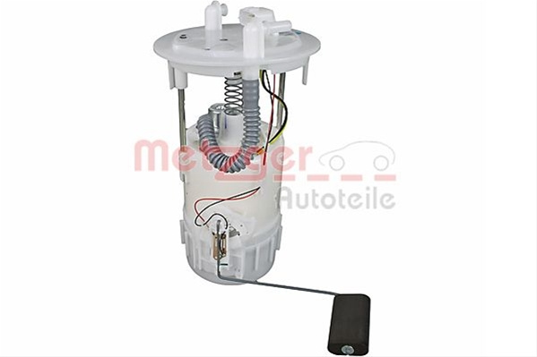 Sistem Alimentare Cu Combustibil Metzger Dacia 2250344