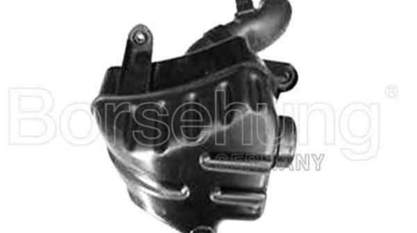 sistem de filtru aer - sport VW GOLF V 1K1 Borsehung B12830