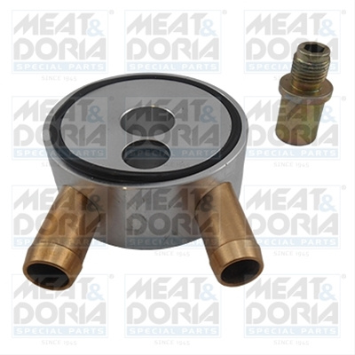Sistem Injectie Meat & Doria 9021
