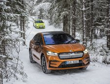 Skoda Enyaq Coupe RS iV - Galerie foto