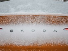 Skoda Enyaq Coupe RS iV - Galerie foto