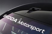Skoda Enyaq RS Race