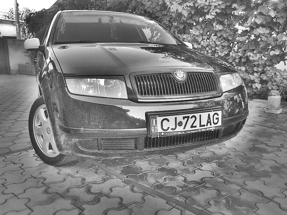 Skoda Fabia