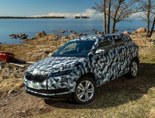 Skoda Karoq - Primele poze