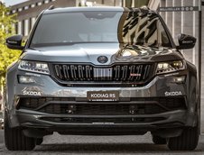 Skoda Kodiaq Ursus