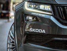 Skoda Kodiaq Ursus