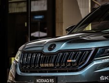 Skoda Kodiaq Ursus