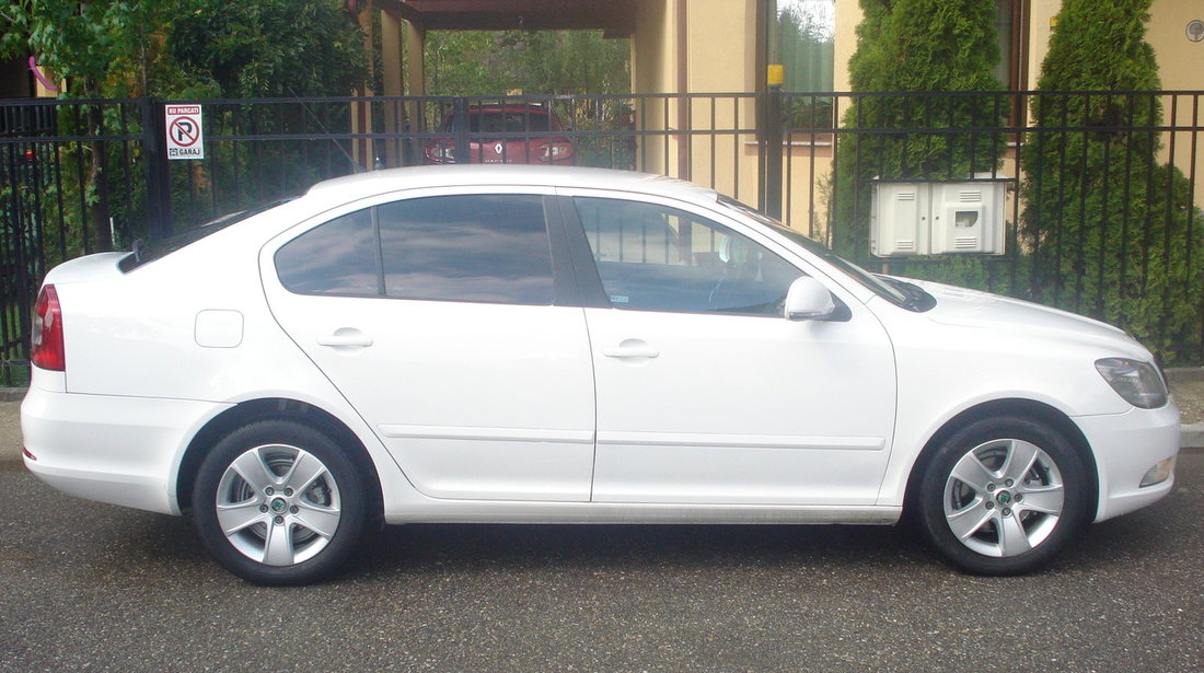 Skoda Octavia 1,9 dci-fulll 2010