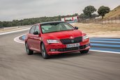 Skoda Octavia RS245, Superb 4x4 Sportsline si Kodiaq L&K