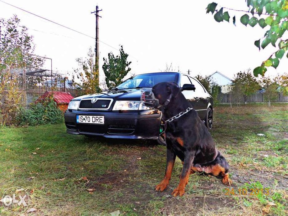 Skoda Octavia VRS