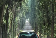 Skoda Rapid Spaceback - Galerie Foto
