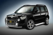 Skoda Yeti by Cobra