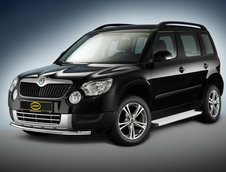 Skoda Yeti by Cobra