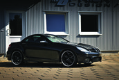 SLK-ul neinfricat de la Prior Design