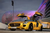 SLS AMG in Desert Gold & G55 AMG Edition 79