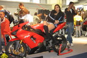SMAEB 2006