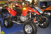 SMAEB 2006