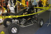 SMAEB 2006