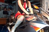 SMAEB 2006
