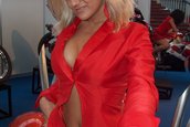SMAEB 2006