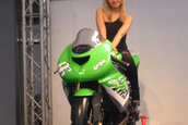 SMAEB 2006