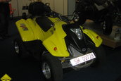 SMAEB 2006