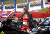 SMAEB 2006