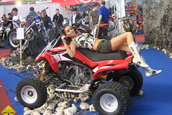 SMAEB 2006