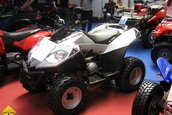 SMAEB 2006