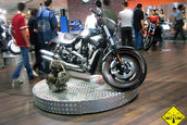 SMAEB 2007