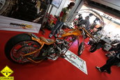 SMAEB 2008