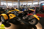SMAEB 2008