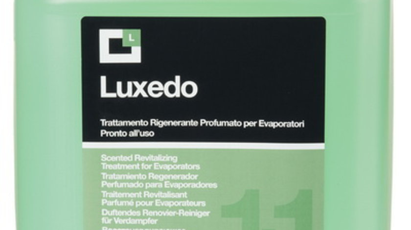 Solutie Curatare Sistem Aer Conditionat Errecom Luxedo 5L ER AB1073.P.01