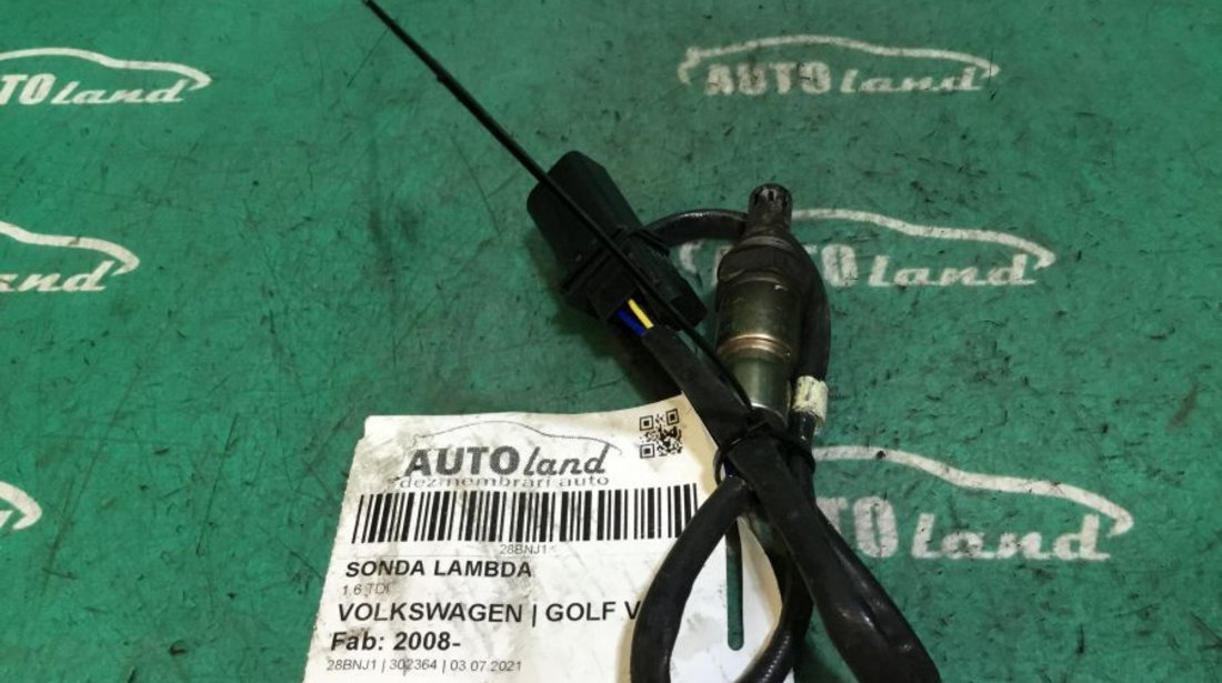 Sonda Lambda 03l906262a 1.6 TDI Volkswagen GOLF VI 2008