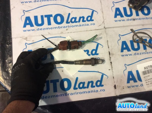 Sonda Lambda 070906262 2.5 TDI Volkswagen CRAFTER 30-35 bus 2E 2006