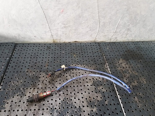 Sonda lambda 1.0 b ford focus 3 b556d