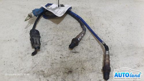 Sonda Lambda 1.0 B Ford FOCUS III 2011