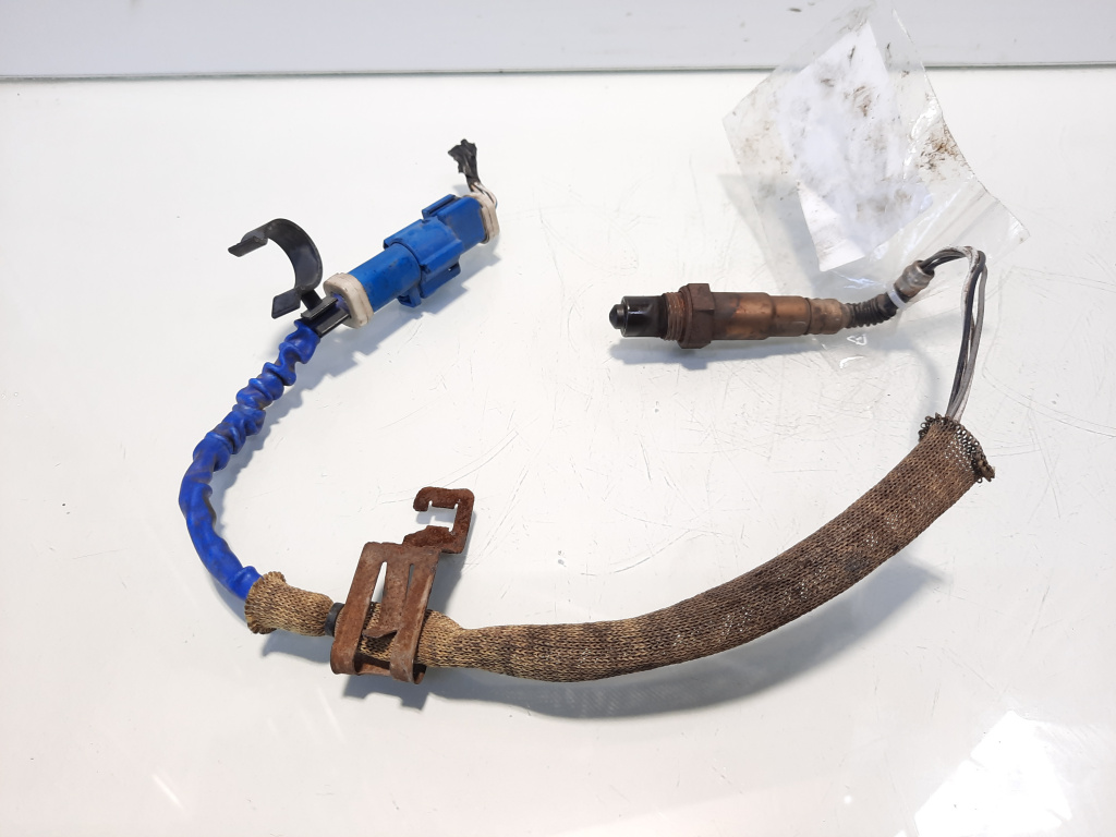 Sonda lambda, cod 3M51-9G444-CB, Ford Focus 3, 1.6 TI, PNDA (id:546882)
