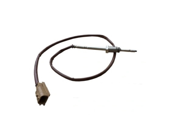 Sonda Lambda Gua Motor Nissan 08209R