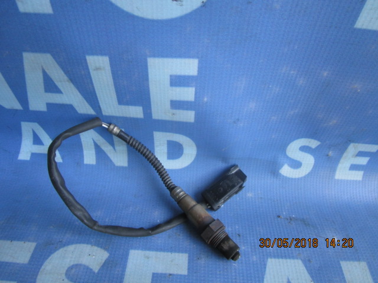 Sonda Lambda Renault Laguna;7700110112