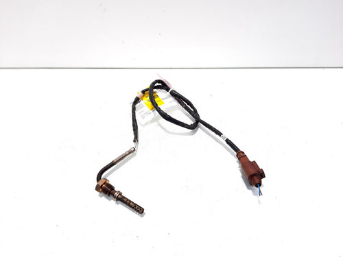 Sonda temperatura gaze, cod 03L906088AJ, Skoda Yeti (5L) 1.6 TDI, CAY (id:525428)