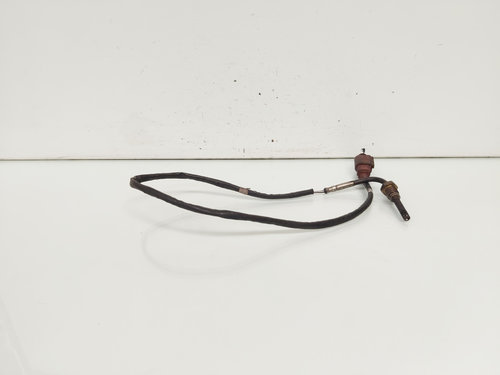 Sonda temperatura gaze, cod 03L906088AJ, VW Beetle (5C1), 1.6 TDI, CAY (idi:660481)