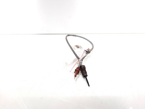 Sonda temperatura gaze, cod 03L906088AR, Seat Exeo (3R2) 2.0 tdi, CAG (id:527418)