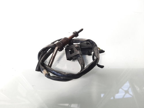 Sonda temperatura gaze, cod 03L906088BD, VW Tiguan (5N), 2.0 TDI, CFF (id:602852)