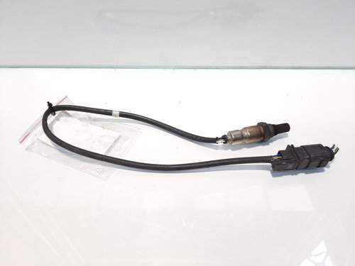 Sonda temperatura gaze, cod 03L906088CC, VW Golf 6 Plus, 1.6 TDI, CAY (idi:476993)