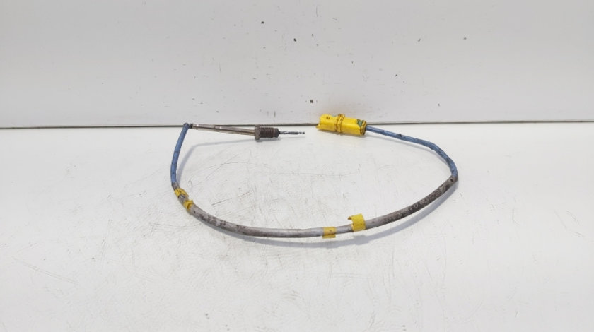 Sonda temperatura gaze, cod 8200941746, Renault Vel Satis, 2.0 DCI, M9R760 (idi:646832)