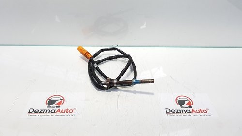 Sonda temperatura gaze Vw New Beetle cabriolet (1Y7) 1.6 tdi, 03L906088CC